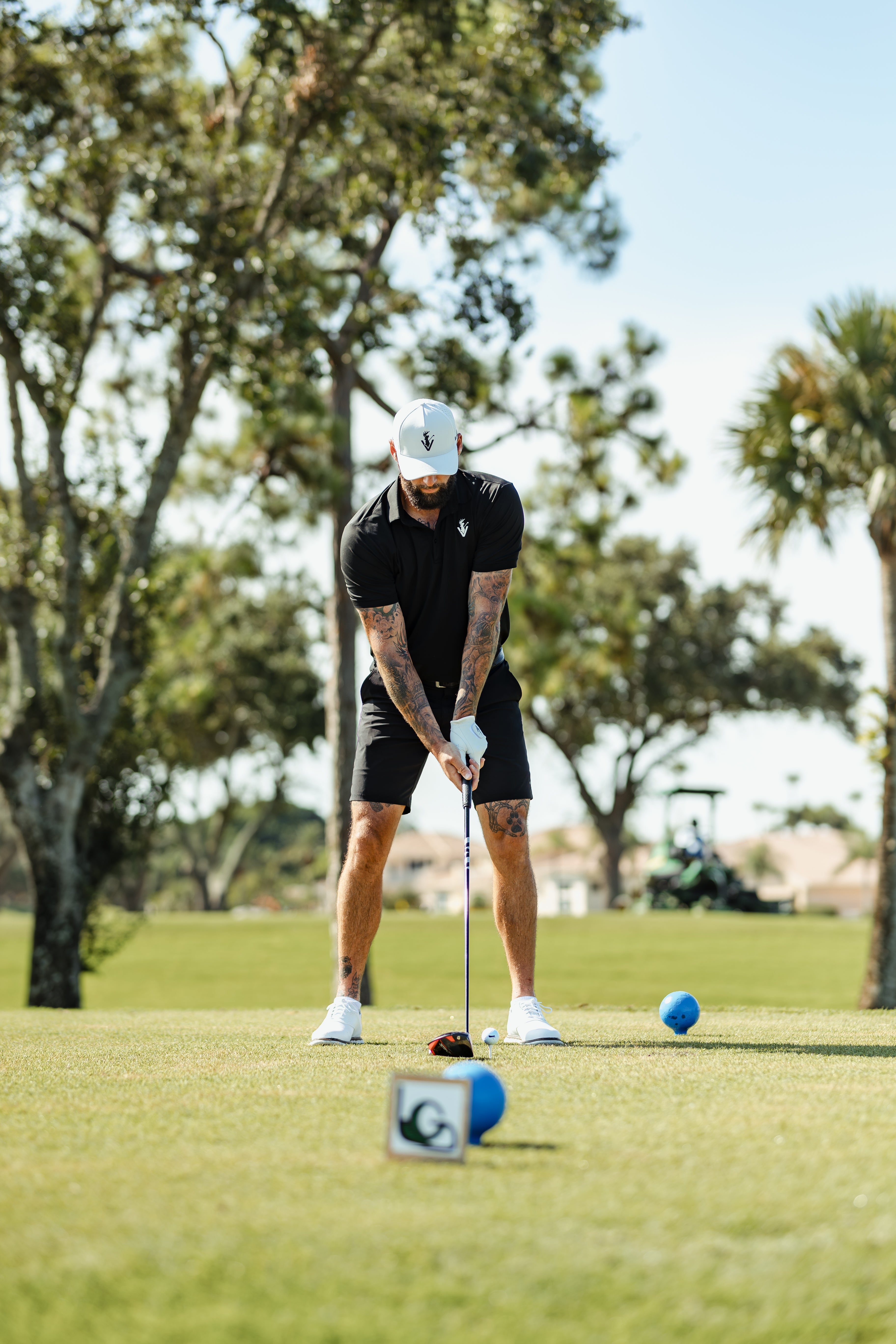 The Solids Collection